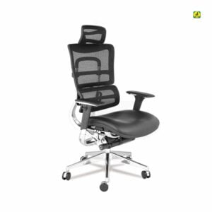 ergonomic-HC chair