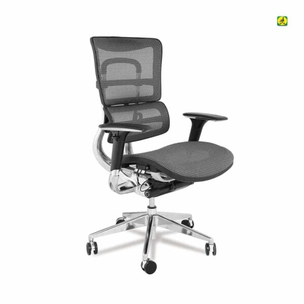 ergonomic-MB chair